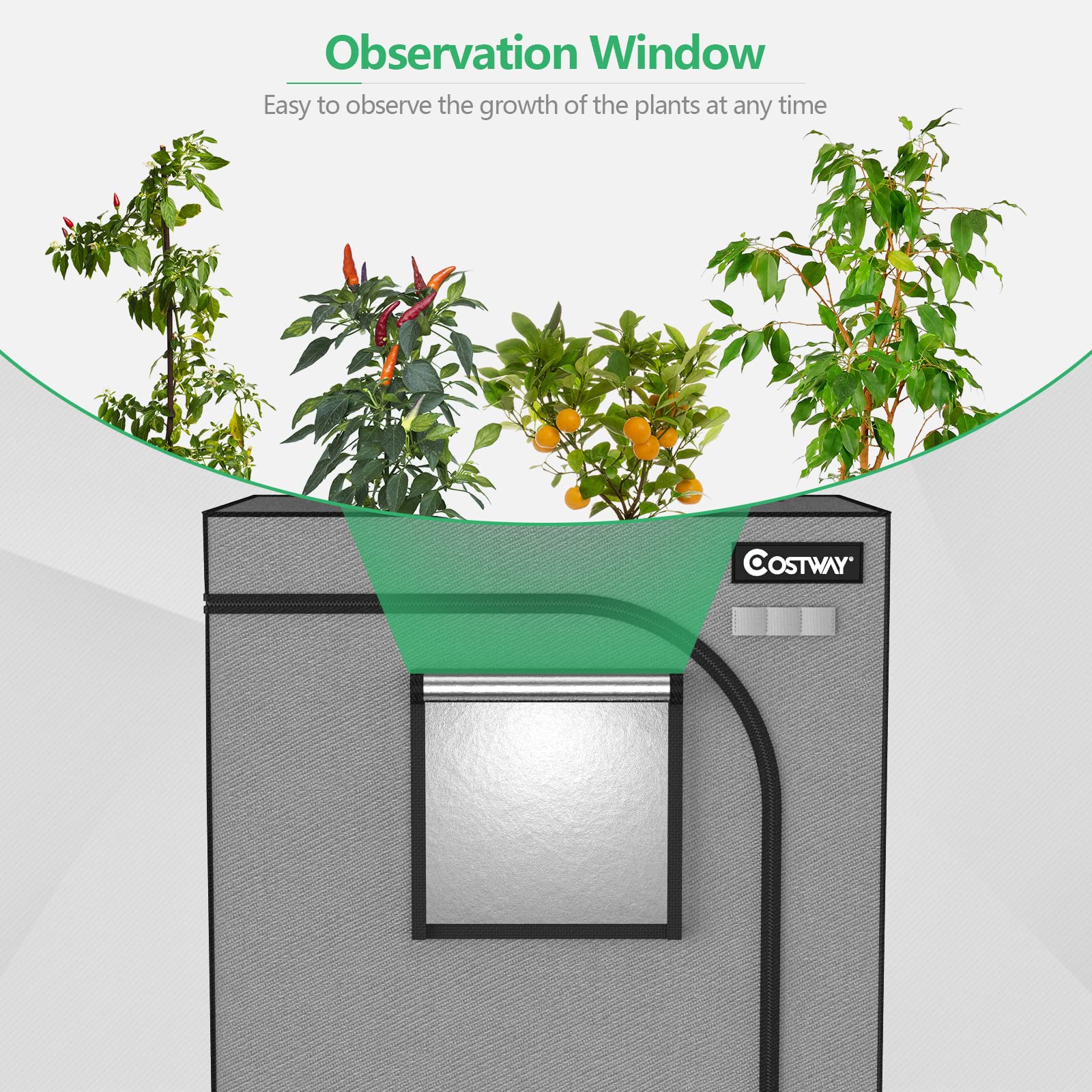 Amazon.co.jp: COSTWAY グロウテント、91.4 cmx91.4 cmx182.9 cm、屋内